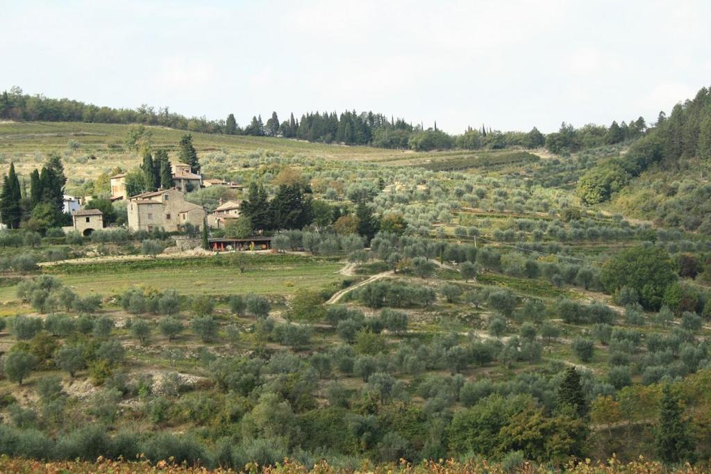 Agriturismo Podere Somigli Di Lorenzo Correani Hotel Greve in Chianti Exterior photo